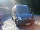 COMPANII TRANSPORT PERSOANE